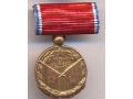 G18400 - Miniature of a Soldier of Merit Medal