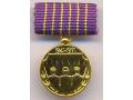 G18450 - Miniature of the JNA 30th Anniversary Memorial Medal
