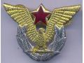 H12010 - PILOT CAP BADGE of the Yugoslav Peoples' Army
