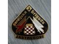 H25182 - Badge for the 3rd Guards Motorized Brigade JASTREBOVI