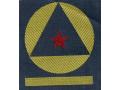 H40030 - A SLEEVE PATCH of the MEMBER OF MANAGING BOARD