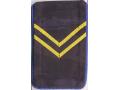 H57372 - BREAST INSIGNIA of the POLICEMAN
