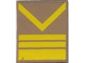 H80118 - BREAST INSIGNIA for the CHIEF SERGEANT-MAJOR 1st CLASS