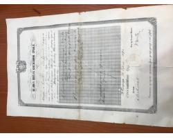 G05010 – Diploma Pravnog kakulteta 1870 1