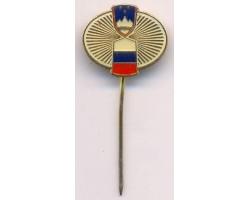 H28122 - A pin badge depicting of coat of arms and the flag 1