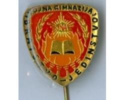 H14732 - PIN BADGE OF THE HIGH SCHOOL \"BROTHERHOOD AND UNITY\" 1